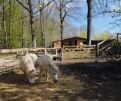 IMG_20230407_111855_689