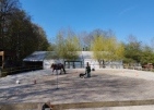 IMG_20230408_162510